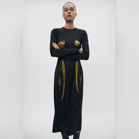Zara Dresses & Skirts - ZARA SILHOUETTE PRINT DRESS ZW COLLECTION